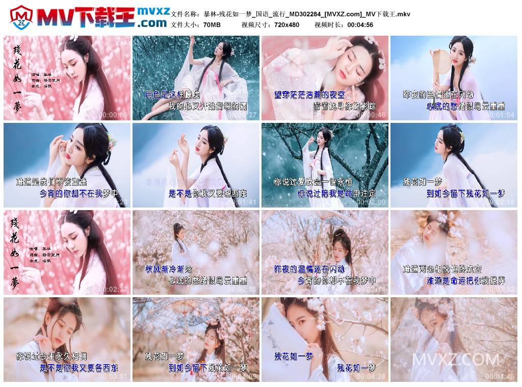 暴林-残花如一梦_国语_流行_MD302284